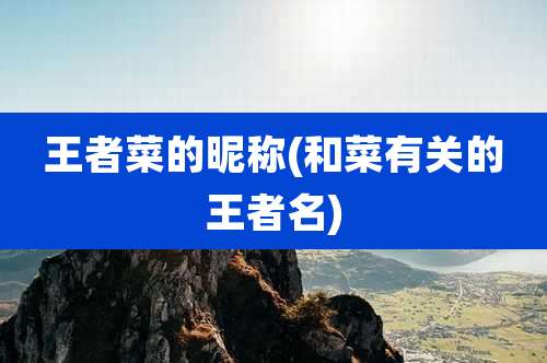 王者菜的昵称(和菜有关的王者名)