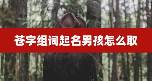 苍字组词起名男孩怎么取