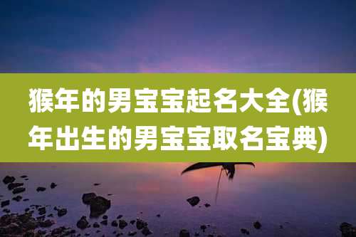 猴年的男宝宝起名大全(猴年出生的男宝宝取名宝典)