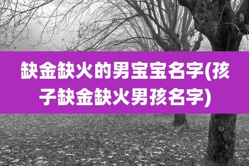 缺金缺火的男宝宝名字(孩子缺金缺火男孩名字)