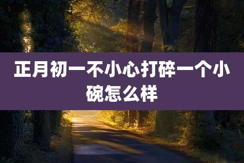 正月初一不小心打碎一个小碗怎么样