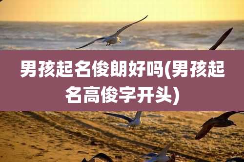 男孩起名俊朗好吗(男孩起名高俊字开头)