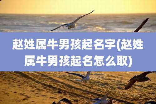 赵姓属牛男孩起名字(赵姓属牛男孩起名怎么取)