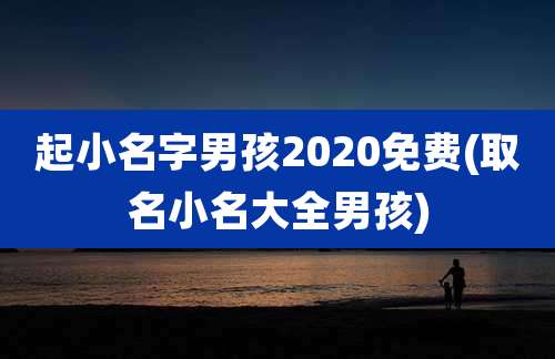 起小名字男孩2020免费(取名小名大全男孩)