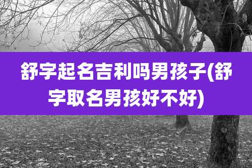 舒字起名吉利吗男孩子(舒字取名男孩好不好)