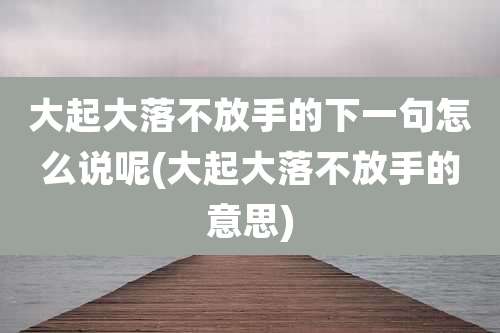 大起大落不放手的下一句怎么说呢(大起大落不放手的意思)