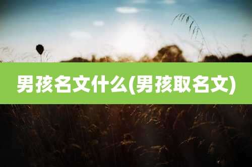 男孩名文什么(男孩取名文)