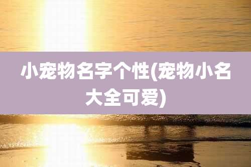 小宠物名字个性(宠物小名大全可爱)