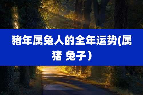 猪年属兔人的全年运势(属猪 兔子)