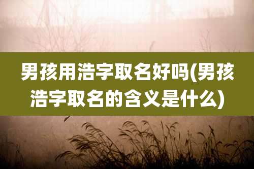 男孩用浩字取名好吗(男孩浩字取名的含义是什么)