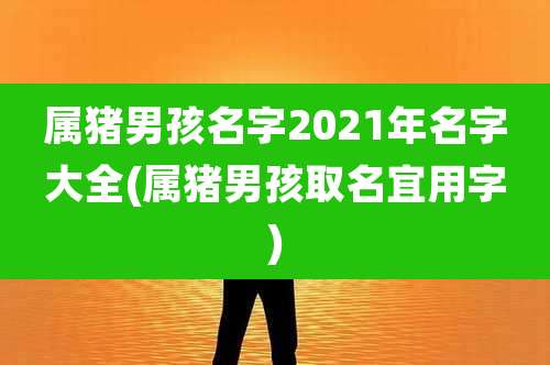 属猪男孩名字2021年名字大全(属猪男孩取名宜用字)