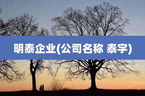 明泰企业(公司名称 泰字)