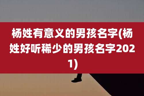 杨姓有意义的男孩名字(杨姓好听稀少的男孩名字2021)