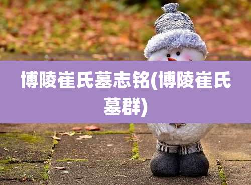 博陵崔氏墓志铭(博陵崔氏墓群)