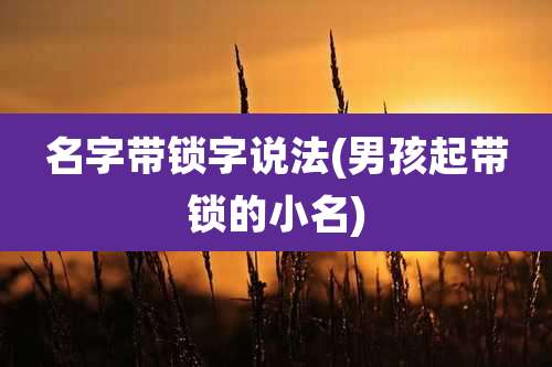 名字带锁字说法(男孩起带锁的小名)