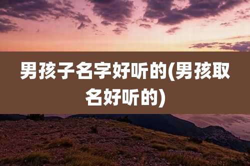 男孩子名字好听的(男孩取名好听的)