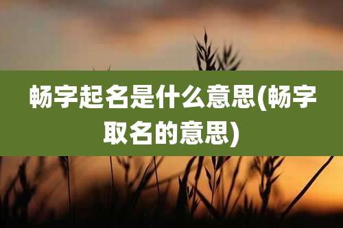 畅字起名是什么意思(畅字取名的意思)