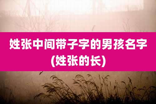姓张中间带子字的男孩名字(姓张的长)