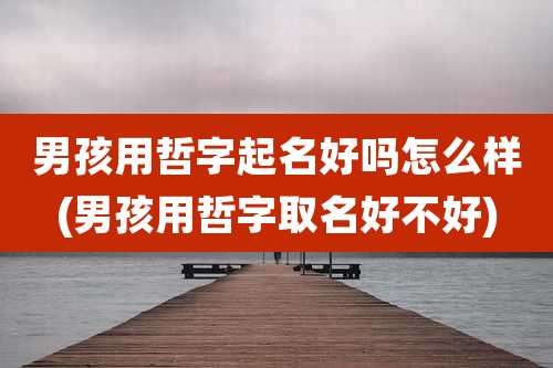 男孩用哲字起名好吗怎么样(男孩用哲字取名好不好)