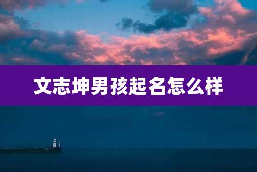 文志坤男孩起名怎么样