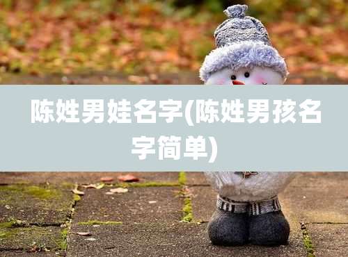 陈姓男娃名字(陈姓男孩名字简单)