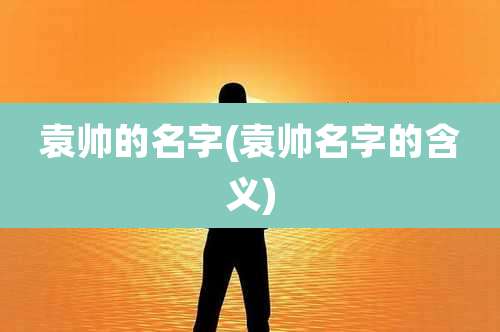 袁帅的名字(袁帅名字的含义)
