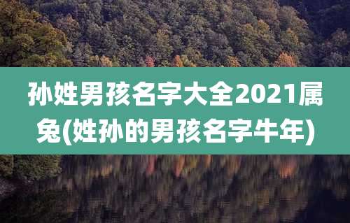 孙姓男孩名字大全2021属兔(姓孙的男孩名字牛年)