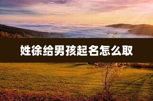 姓徐给男孩起名怎么取