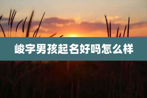 峻字男孩起名好吗怎么样