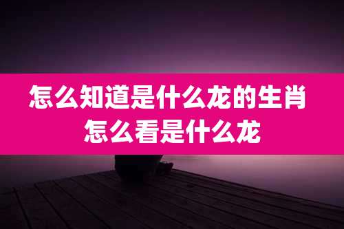 怎么知道是什么龙的生肖 怎么看是什么龙