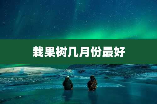 栽果树几月份最好