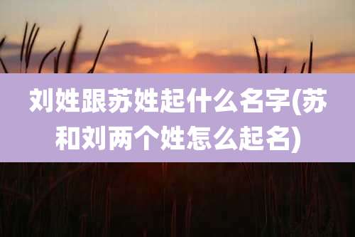 刘姓跟苏姓起什么名字(苏和刘两个姓怎么起名)