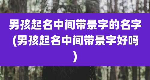 男孩起名中间带景字的名字(男孩起名中间带景字好吗)