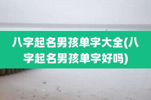 八字起名男孩单字大全(八字起名男孩单字好吗)