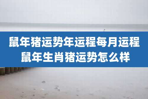鼠年猪运势年运程每月运程 鼠年生肖猪运势怎么样