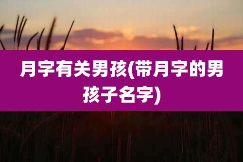 月字有关男孩(带月字的男孩子名字)
