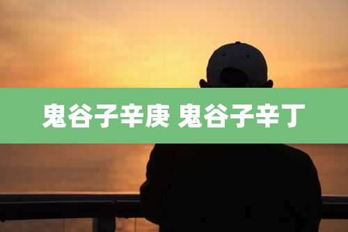 鬼谷子辛庚 鬼谷子辛丁