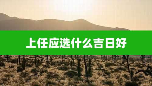 上任应选什么吉日好