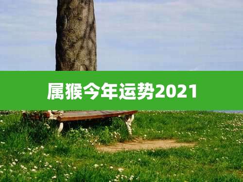 属猴今年运势2021