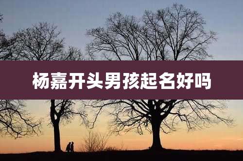 杨嘉开头男孩起名好吗