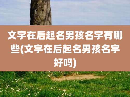 文字在后起名男孩名字有哪些(文字在后起名男孩名字好吗)