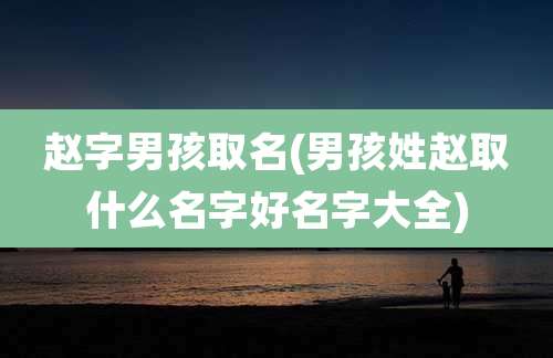 赵字男孩取名(男孩姓赵取什么名字好名字大全)