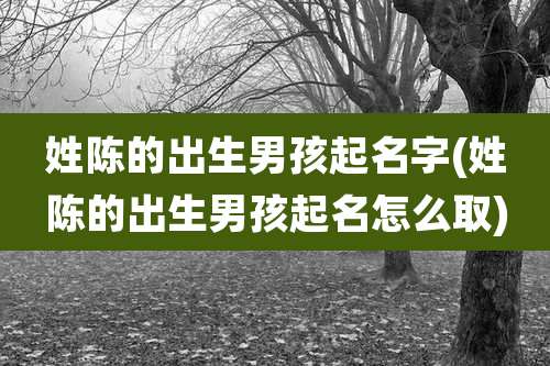 姓陈的出生男孩起名字(姓陈的出生男孩起名怎么取)