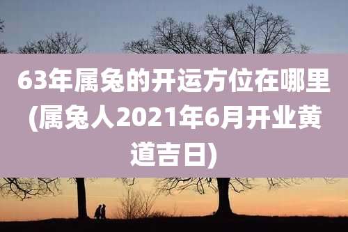 63年属兔的开运方位在哪里(属兔人2021年6月开业黄道吉日)