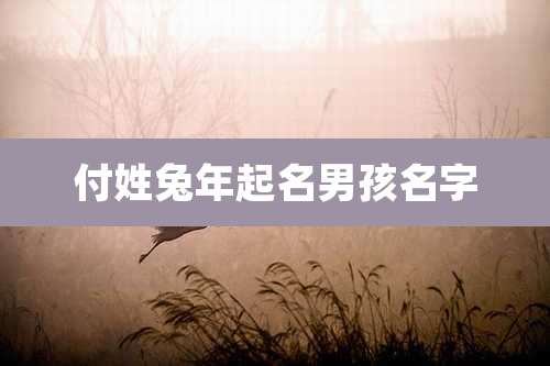 付姓兔年起名男孩名字