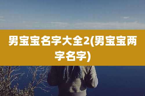 男宝宝名字大全2(男宝宝两字名字)