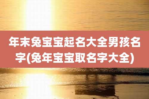 年末兔宝宝起名大全男孩名字(兔年宝宝取名字大全)