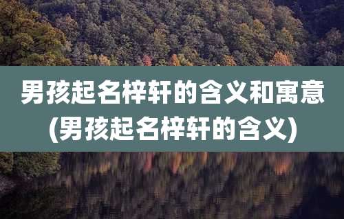 男孩起名梓轩的含义和寓意(男孩起名梓轩的含义)