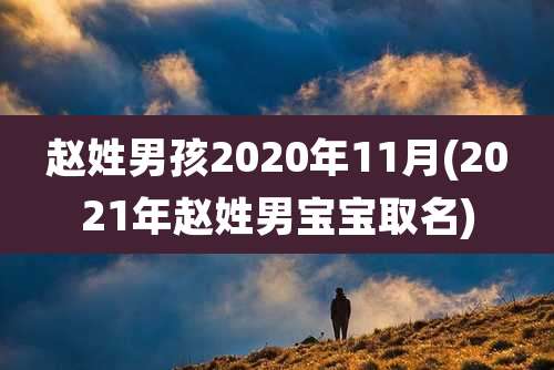 赵姓男孩2020年11月(2021年赵姓男宝宝取名)
