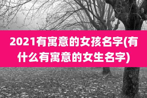 2021有寓意的女孩名字(有什么有寓意的女生名字)